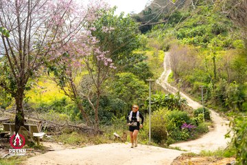 Ảnh sự kiện PRENN TRAIL SUMMIT 2025 - 8b4b5dcf0828000db88ac16100e46f1e.jpg