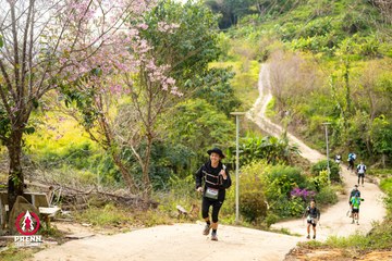 Ảnh sự kiện PRENN TRAIL SUMMIT 2025 - 8b93d1c152d4f7c65173c4a437a6b1d1.jpg