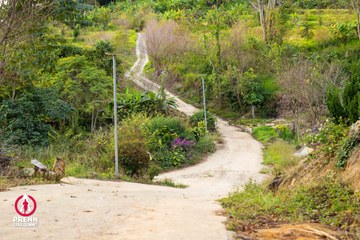 Ảnh sự kiện PRENN TRAIL SUMMIT 2025 - 8bbec44e20a2e3d21f9a22cda8f50691.jpg