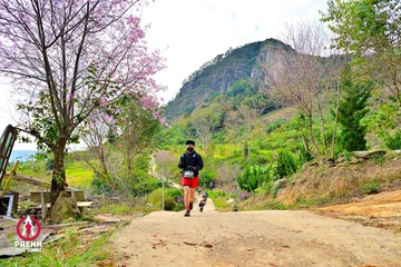 Ảnh sự kiện PRENN TRAIL SUMMIT 2025 - 8c12c3605b0fa2ac81e5fef051f3752b.jpg