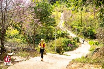 Ảnh sự kiện PRENN TRAIL SUMMIT 2025 - 8c841cead564090bad36bc968a748558.jpg