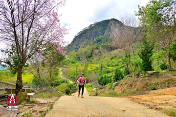 Ảnh sự kiện PRENN TRAIL SUMMIT 2025 - 8d1ac3a70254e80697b17d594d2656de.jpg