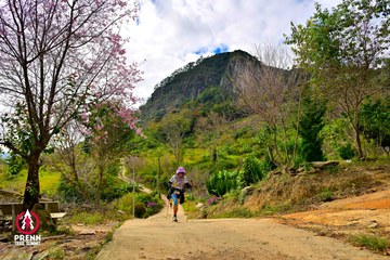 Ảnh sự kiện PRENN TRAIL SUMMIT 2025 - 8da7ef6d8a9045f7361656a3d88cd738.jpg