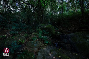 Ảnh sự kiện PRENN TRAIL SUMMIT 2025 - 8fa0a92af6d9658b6f3ac7e585728878.jpg