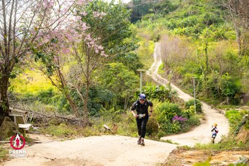 Ảnh sự kiện PRENN TRAIL SUMMIT 2025 - 90a7e59ec115885d941734037a5eb0df.jpg