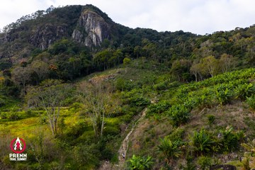 Ảnh sự kiện PRENN TRAIL SUMMIT 2025 - 90ce12b122c1b2515e3299692be339df.jpg