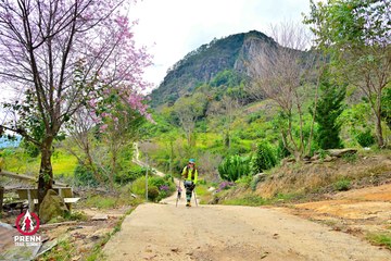 Ảnh sự kiện PRENN TRAIL SUMMIT 2025 - 9219b32f08aac22375c93eff91972ba6.jpg