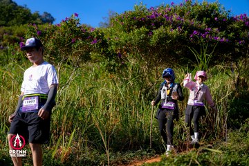 Photo PRENN TRAIL SUMMIT 2025 - 92cf1171aa08ca434625e45ad767f6a8.jpg