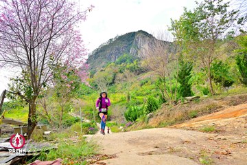 Ảnh sự kiện PRENN TRAIL SUMMIT 2025 - 9421489aab4982c35d56f3c5ecd81f41.jpg