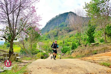 Ảnh sự kiện PRENN TRAIL SUMMIT 2025 - 956564a61bb93e84e7731f8e7bdc1601.jpg