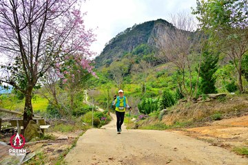Ảnh sự kiện PRENN TRAIL SUMMIT 2025 - 964892d833769b39dde33343cbd8557f.jpg