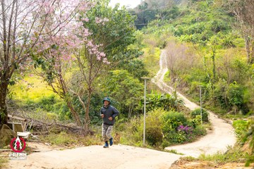 Ảnh sự kiện PRENN TRAIL SUMMIT 2025 - 99601a312b3af03b27c1684263f9fd39.jpg