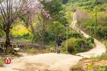 Ảnh sự kiện PRENN TRAIL SUMMIT 2025 - 9968750c041a9de501be3d304609f991.jpg