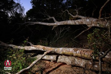 Ảnh sự kiện PRENN TRAIL SUMMIT 2025 - 9b2e12ec6eff9b3ee9f06b43a3603b33.jpg