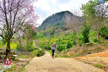 Ảnh sự kiện PRENN TRAIL SUMMIT 2025 - 9bd8a8d7c6868d6e3af5e43450692a6f.jpg