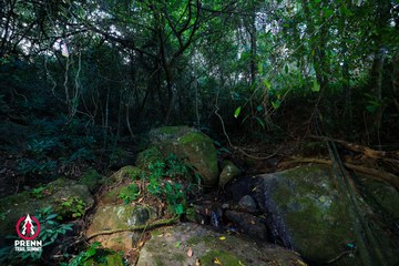 Ảnh sự kiện PRENN TRAIL SUMMIT 2025 - 9d5c708247d898f90517cfed25553110.jpg