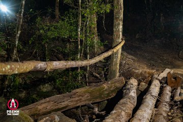 Ảnh sự kiện PRENN TRAIL SUMMIT 2025 - 9ee5e54c81b94436601871ab861ef121.jpg