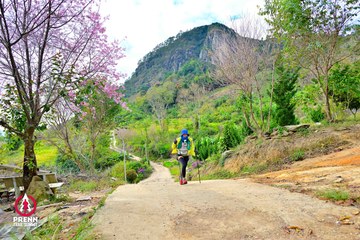Ảnh sự kiện PRENN TRAIL SUMMIT 2025 - a045f261dee2f2b1fa1e972604f8c2a7.jpg