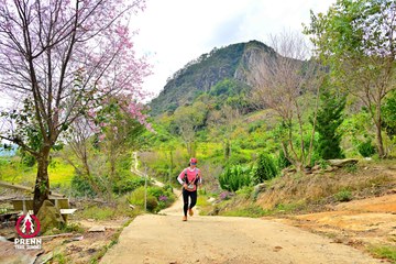 Ảnh sự kiện PRENN TRAIL SUMMIT 2025 - a07a3c81ffcb3f068ee62939cccade20.jpg