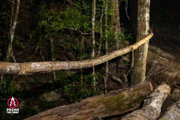 Ảnh sự kiện PRENN TRAIL SUMMIT 2025 - a0ce77a41994747ec4c8837df640f18d.jpg
