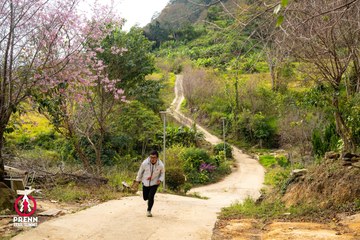 Ảnh sự kiện PRENN TRAIL SUMMIT 2025 - a10276692c4b0ebf91c8d02f25105d4f.jpg