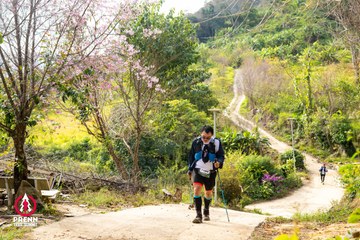 Ảnh sự kiện PRENN TRAIL SUMMIT 2025 - a13d0ac11bf9e0b4d0d9e0177460eeed.jpg