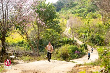 Ảnh sự kiện PRENN TRAIL SUMMIT 2025 - a17d4942687beb9775a84aa746999c85.jpg