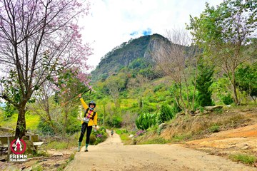 Ảnh sự kiện PRENN TRAIL SUMMIT 2025 - a46d2a6746a23537ffda27f4ce246efa.jpg