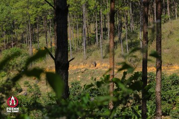 Ảnh sự kiện PRENN TRAIL SUMMIT 2025 - a53f3f62ba52b18d0fe88bf41a2c605f.jpg