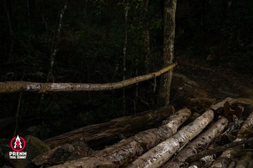Ảnh sự kiện PRENN TRAIL SUMMIT 2025 - a595861b0b264a2b6c6e1e06f29a89b3.jpg
