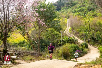 Ảnh sự kiện PRENN TRAIL SUMMIT 2025 - a7427dfa0e1f018297196933bbb69f85.jpg