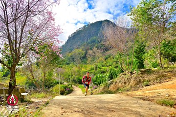 Ảnh sự kiện PRENN TRAIL SUMMIT 2025 - a79e45d604e7efb8febbdb77298c66eb.jpg
