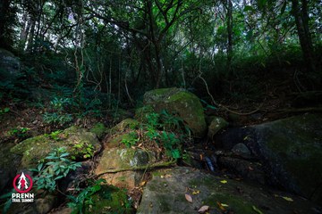 Ảnh sự kiện PRENN TRAIL SUMMIT 2025 - a831badc5cd7c9d7120d4820b9ed6a50.jpg