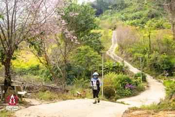 Ảnh sự kiện PRENN TRAIL SUMMIT 2025 - a8b9b535e4ad9dd13c30a671fd99c6c2.jpg