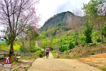 Ảnh sự kiện PRENN TRAIL SUMMIT 2025 - aecd20bf092a4f891cf29ee36453d98f.jpg