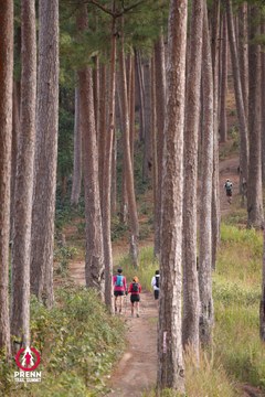 Photo PRENN TRAIL SUMMIT 2025 - b0dc661173f66ae83d1227d2a2982bb1.jpg