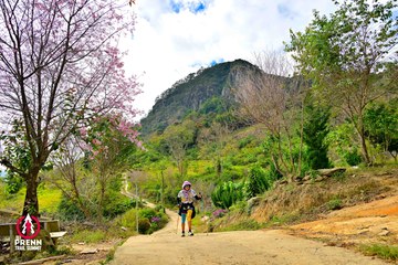 Ảnh sự kiện PRENN TRAIL SUMMIT 2025 - b0f3f914b4f9ba25db9ae9a2bb963c9f.jpg