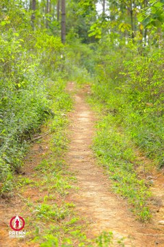 Ảnh sự kiện PRENN TRAIL SUMMIT 2025 - b18e2e6f06b935ec4636e514270e2a0e.jpg