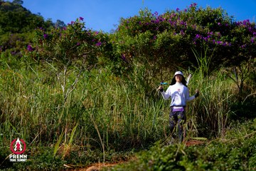 Photo PRENN TRAIL SUMMIT 2025 - b35294abdc5a106597adbb1f68ed5e2a.jpg