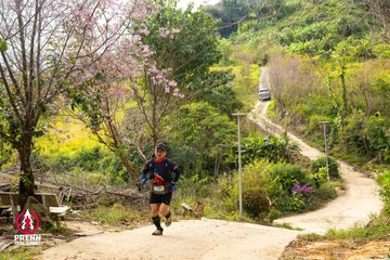 Ảnh sự kiện PRENN TRAIL SUMMIT 2025 - b3618513d37da87a6e1dffec90e22688.jpg