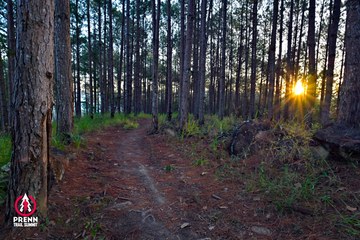 PRENN TRAIL SUMMIT 2025 - Ảnh #4619176