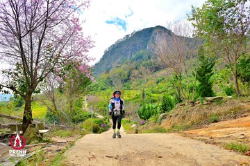 Ảnh sự kiện PRENN TRAIL SUMMIT 2025 - b40037f7080fa3f07e217b8ab9bf6fb9.jpg
