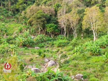 Ảnh sự kiện PRENN TRAIL SUMMIT 2025 - b4eb645d445dd1169c898bec40763013.jpg