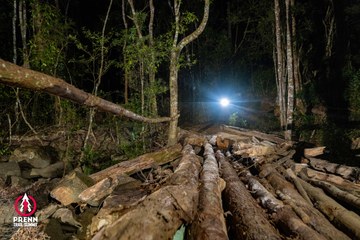 Ảnh sự kiện PRENN TRAIL SUMMIT 2025 - b53d55f8503ce11d986e26da65efa2c7.jpg