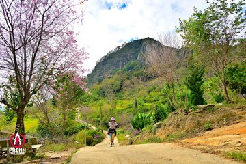 Ảnh sự kiện PRENN TRAIL SUMMIT 2025 - b70589232beda29947400b182399e694.jpg