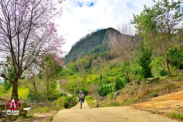 Ảnh sự kiện PRENN TRAIL SUMMIT 2025 - b79b19a9eea0454f1a85c24f4690b959.jpg