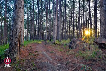 PRENN TRAIL SUMMIT 2025 - Ảnh #4619185