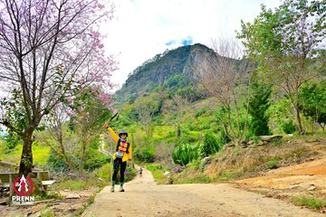 Ảnh sự kiện PRENN TRAIL SUMMIT 2025 - b7b2e06dc0a71b39b6ff412661a7c1fa.jpg