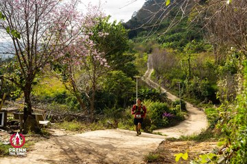 Ảnh sự kiện PRENN TRAIL SUMMIT 2025 - b8230223b273d849c052b6a03dce0f3e.jpg