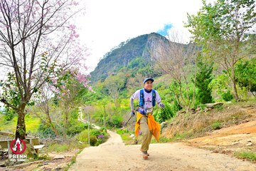 Ảnh sự kiện PRENN TRAIL SUMMIT 2025 - b855619fac244bbf85911a6442326e5a.jpg